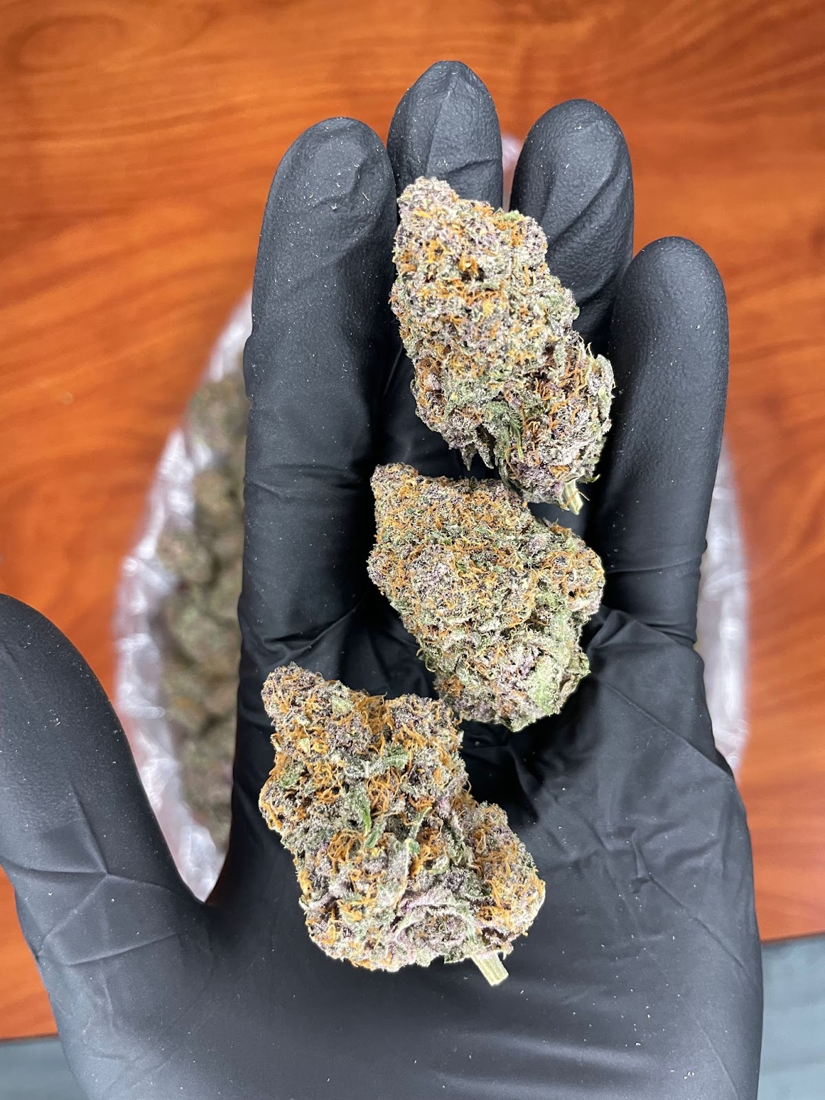PURPLE URKLE — wholesale hybrid flower
