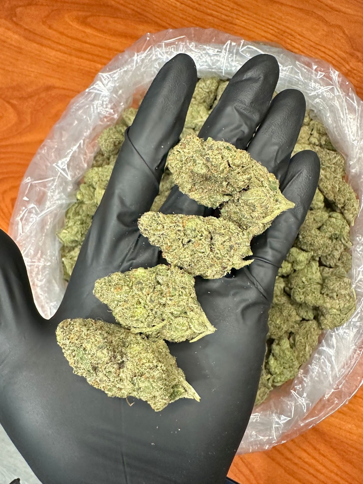TOP GUN — wholesale hybrid flower