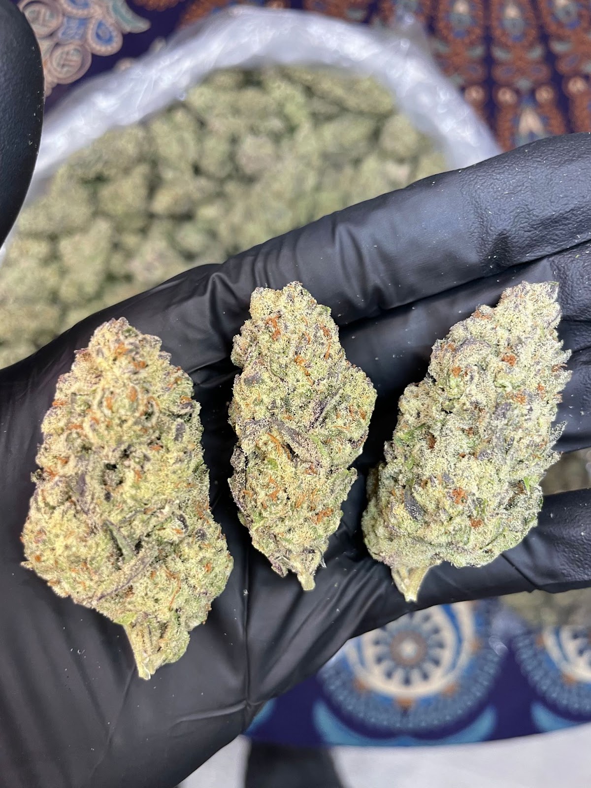 WHITE COCONUT PIE — wholesale hybrid flower