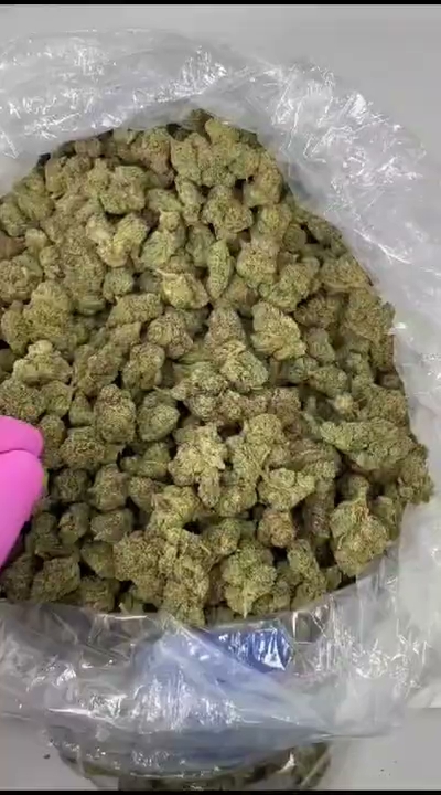 NIGHTQUEEN — wholesale hemp product main photograph