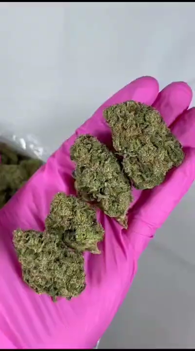Green Crack — wholesale hybrid flower
