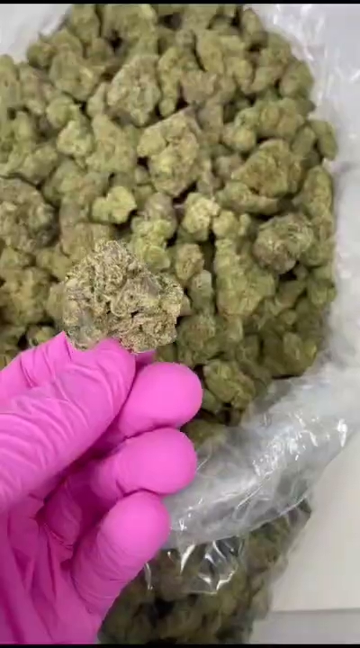 Kool Whip — wholesale hybrid flower